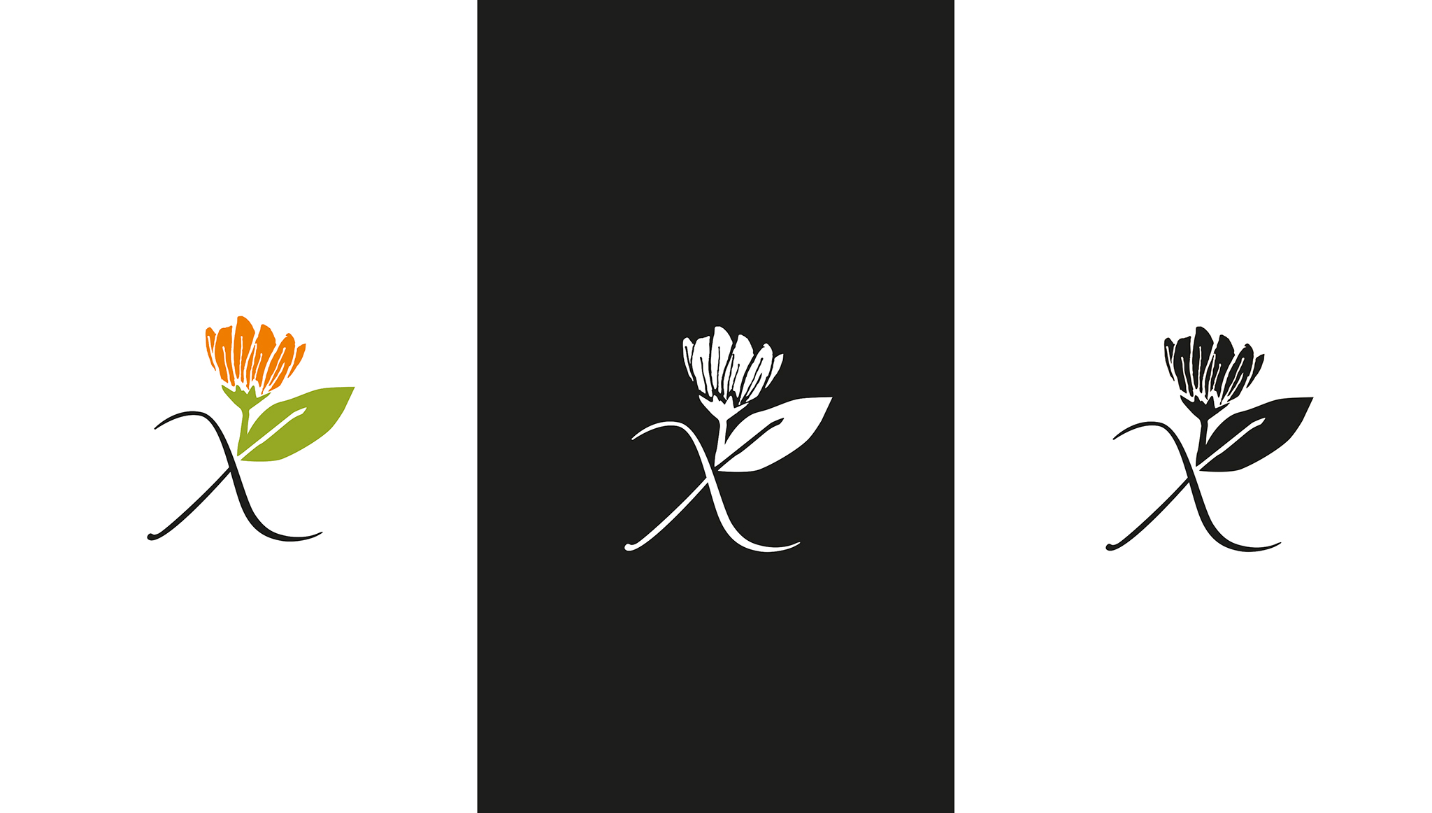 02-Herbalina_logos_X