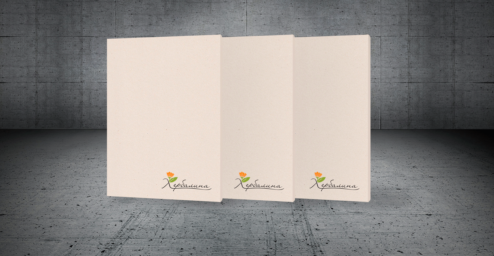 05-Herbalina-Corporate-Folders